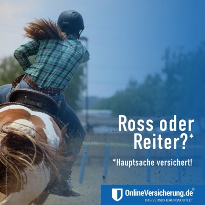 OnlineVersicherung - Pferdehalterhaftpflichtversicherung